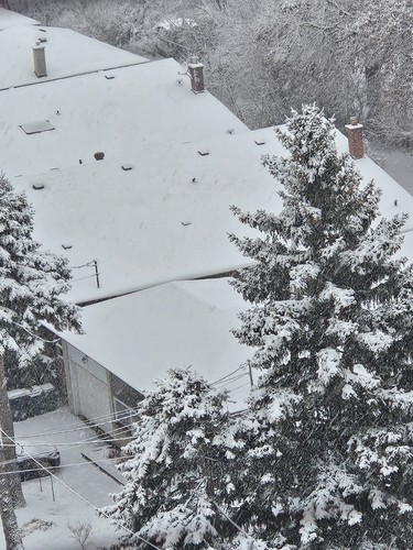 Winter snowing toronto - winter,