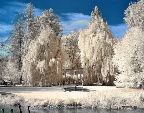 Bellissima fotografia - , a